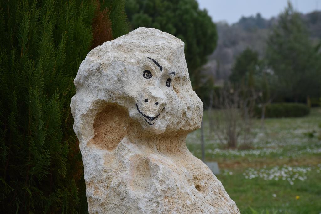 La Bastide Des Raisins Daire Apt Dış mekan fotoğraf