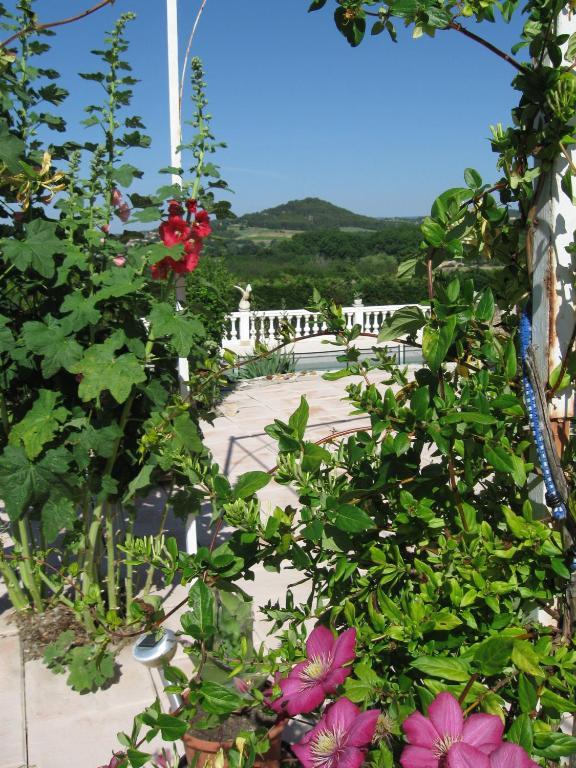 La Bastide Des Raisins Daire Apt Dış mekan fotoğraf